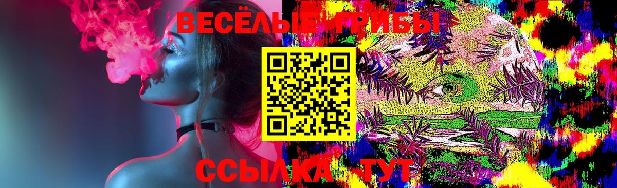 Галлюциногенные грибы Psilocybine cubensis Лыткарино